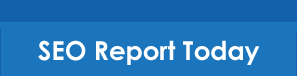 Free SEO Report